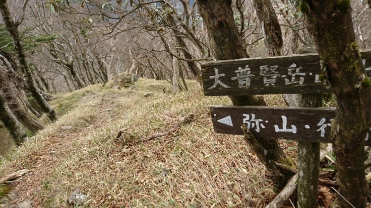 大峰　和佐又山ﾋｭｯﾃ～大普賢岳～七曜岳～和佐又山ﾋｭｯﾃ_b0148050_17491565.jpg