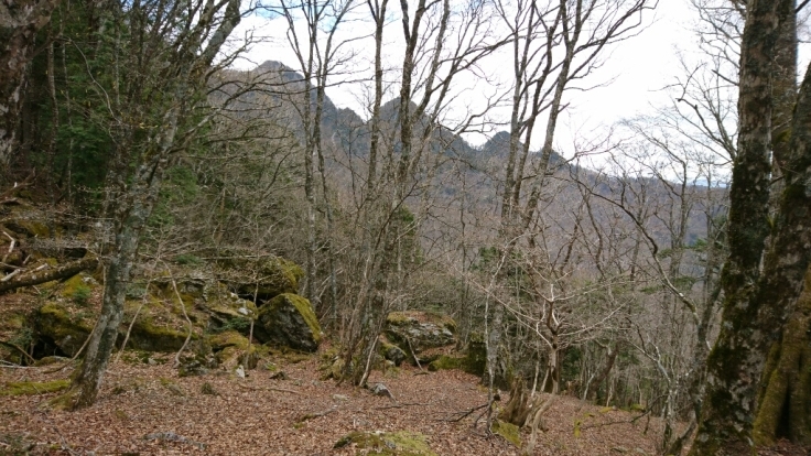 大峰　和佐又山ﾋｭｯﾃ～大普賢岳～七曜岳～和佐又山ﾋｭｯﾃ_b0148050_17531082.jpg