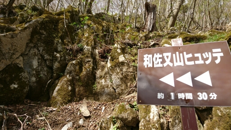 大峰　和佐又山ﾋｭｯﾃ～大普賢岳～七曜岳～和佐又山ﾋｭｯﾃ_b0148050_18035738.jpg