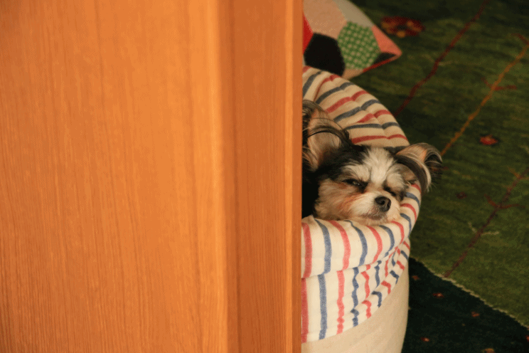 c0145250_09411282.gif