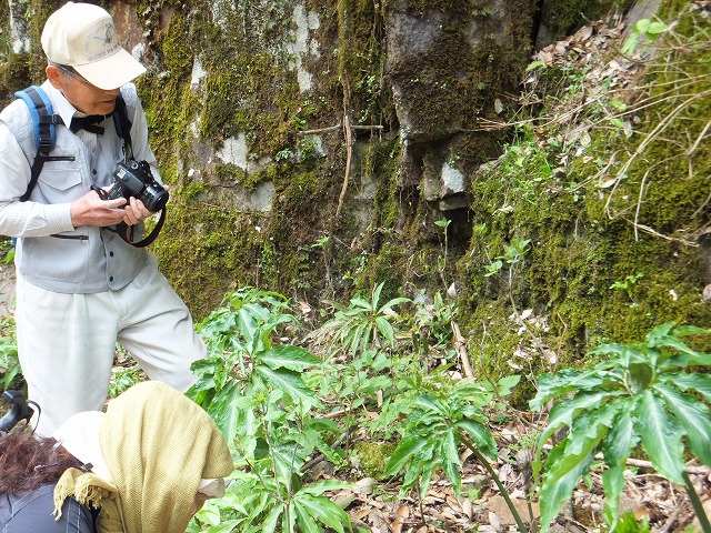 d0048350_17135073.jpg