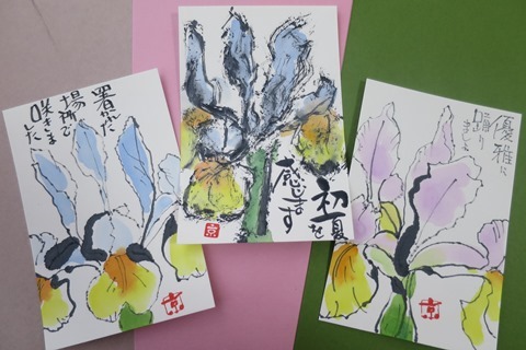 絵手紙三昧の日 どら絵もんのポケット 絵手紙三昧の日 どら絵もんのポケット