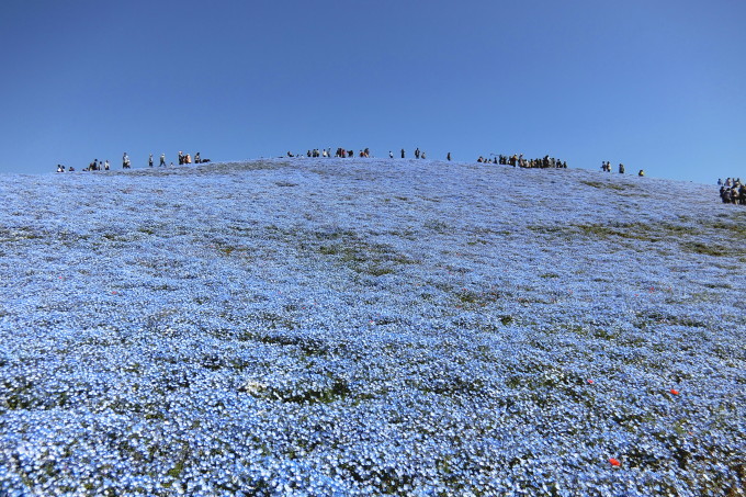 The Blue hill melts in the sky_f0189155_19490805.jpg