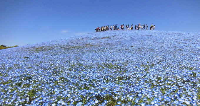 The Blue hill melts in the sky_f0189155_19572573.jpg