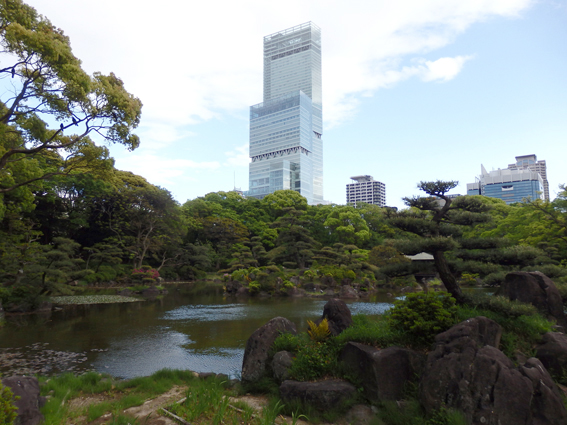 やすらぎの天王寺_d0218056_23244415.jpg