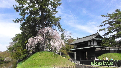b0321359_21014764.jpg