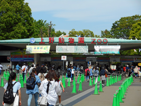 2017年上野動物園のGwの混雑状況_e0086860_16512902.jpg