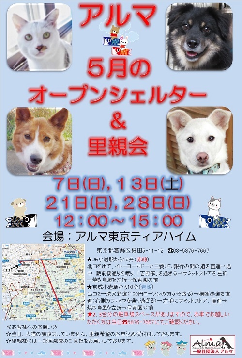 5月7日(日) オープンシェルター＆里親会のお知らせ*_e0158864_22451449.jpg