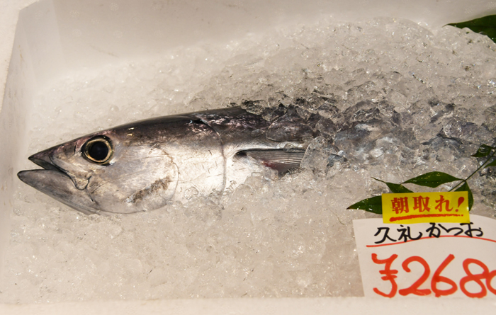 高知おすすめのカツオ店!その場で食べれる!おみやげも発送も可能な山本鮮魚店(久礼大正町市場)_e0171573_9481958.jpg