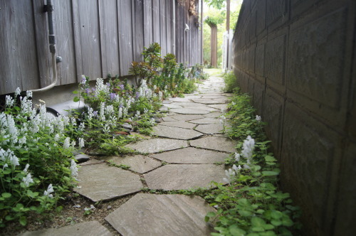 e0181373_21241066.jpg