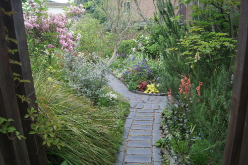 e0181373_21255918.jpg