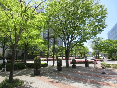 e0240973_8212059.jpg