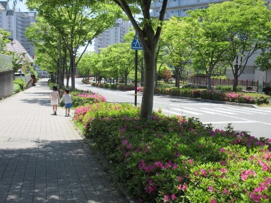 e0240973_821250.jpg