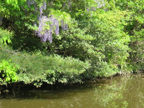 f0259373_11310765.jpg
