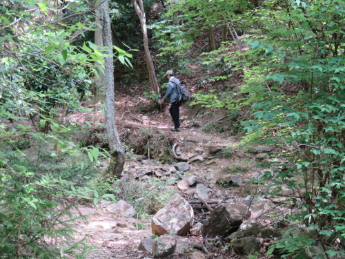 f0259373_11345701.jpg