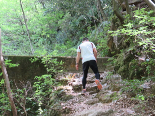 f0259373_11350915.jpg