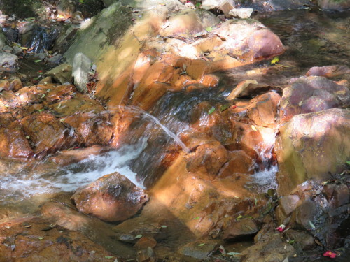 f0259373_11380506.jpg