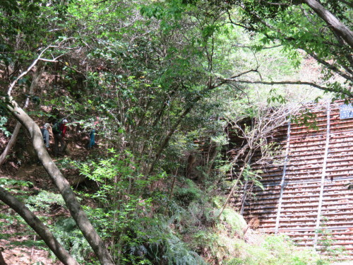 f0259373_11394406.jpg