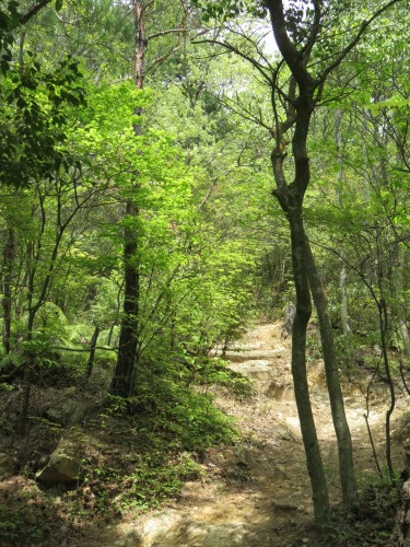 f0259373_11415294.jpg