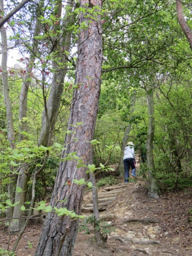 f0259373_11452038.jpg