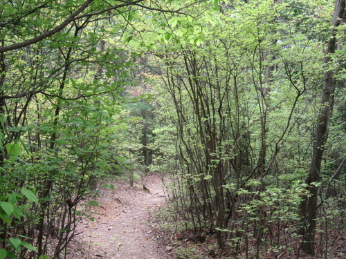 f0259373_11572120.jpg