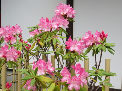 f0259373_11594850.jpg