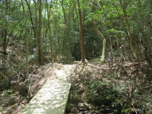 f0259373_12034526.jpg