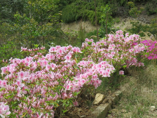 f0259373_12040812.jpg