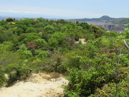f0259373_12052632.jpg