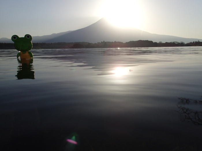 3日目 170416　田貫湖ダイヤモンド富士とカエル君　超ローアングル　Diamond Fuji from Lake Tanuki　Super low angle  6：00から6：16_c0349574_08073014.jpg