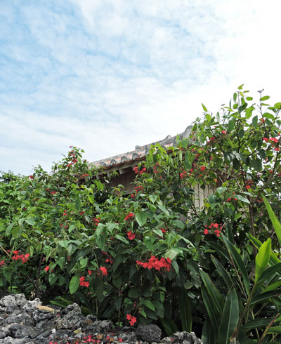 f0083977_7171640.jpg