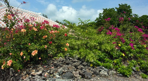f0083977_7173961.jpg