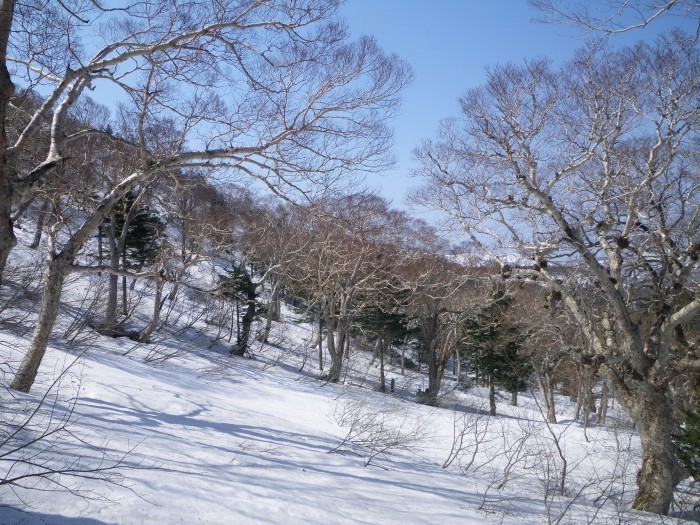 蔵王・屏風岳東面 ～ ２０１７年４月３０日_f0170180_23271356.jpg