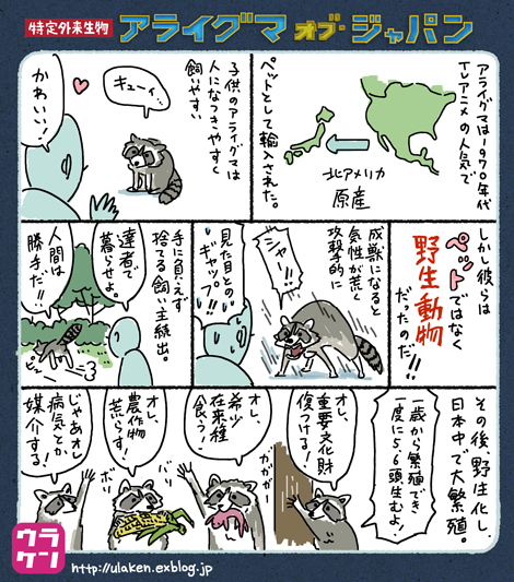 ラクーンって アライグマ って意味だったの ウラケン ボルボックス ラクーンって アライグマ って意味だったの ウラケン ボルボックス