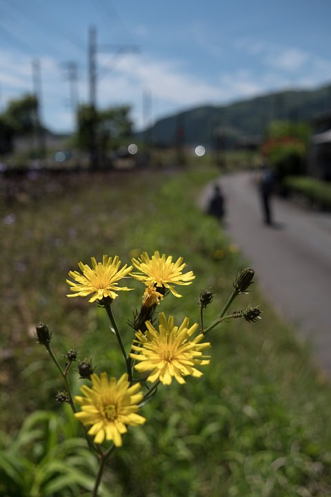 d0353489_23354418.jpg