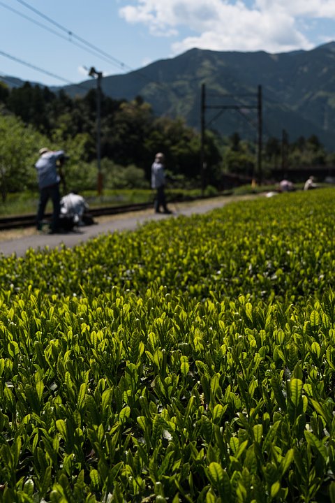 d0353489_23393462.jpg