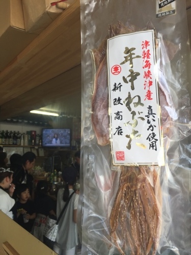 春フェスに初参加_a0134394_06364528.jpg