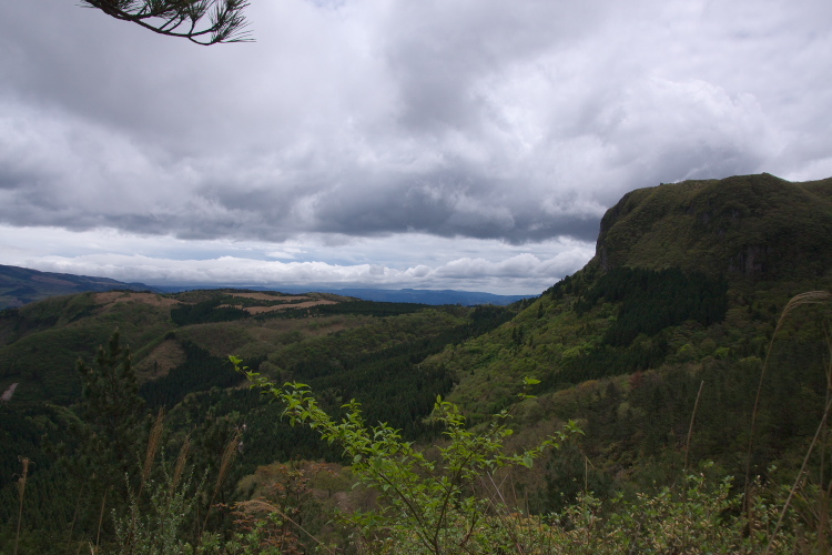 f0130601_22471217.jpg