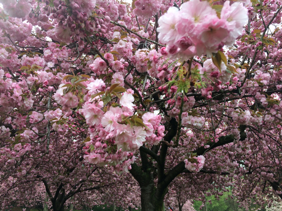 a0094202_742087.jpg