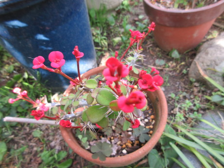 a0203003_23123549.jpg