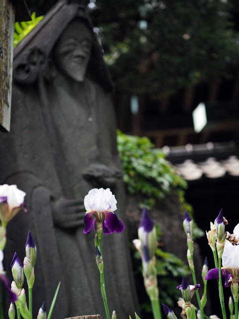 淡々とした連休最終日_c0187503_1865532.jpg