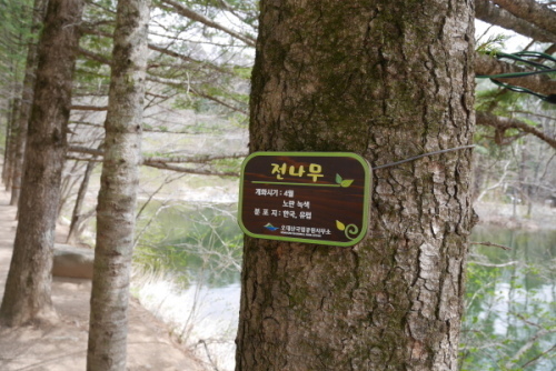 a0140305_02392590.jpg
