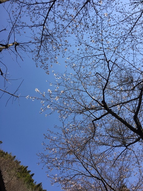 f0364707_00382899.jpg