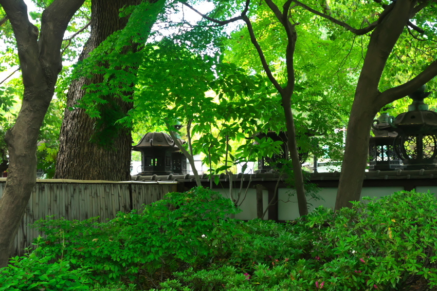 a0263109_14423692.jpg