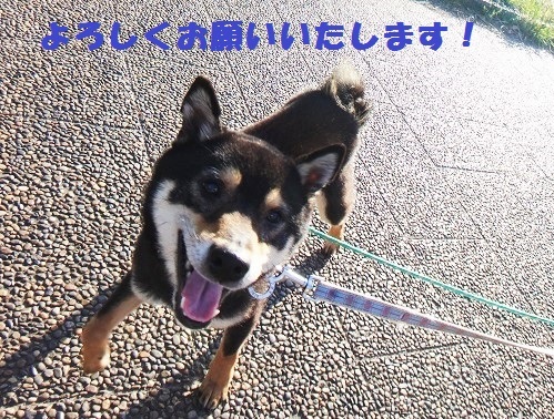 f0121712_00510017.jpg