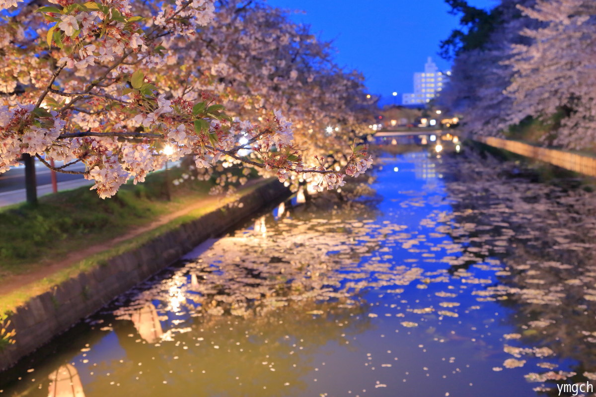 行き当たりばったり東北旅 〜 夜の弘前さくらまつり_f0157812_01553960.jpg