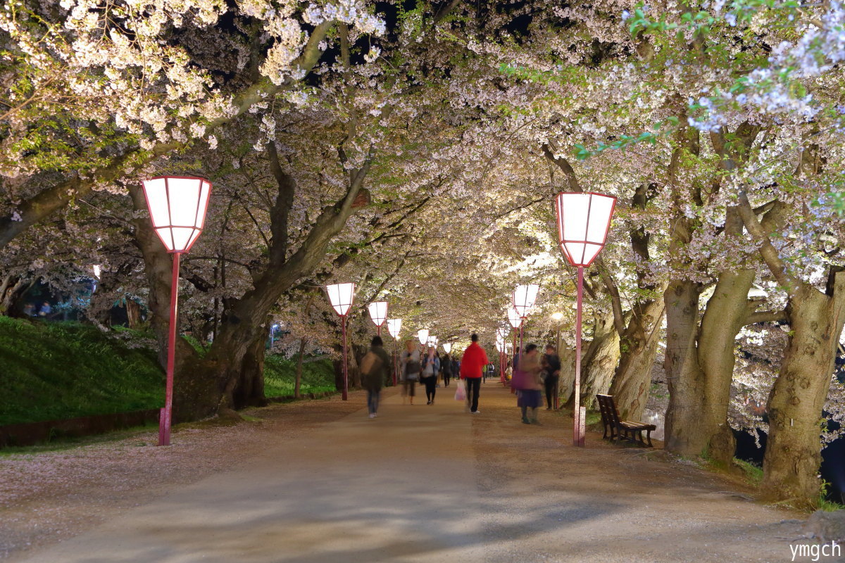 行き当たりばったり東北旅 〜 圧巻の夜桜_f0157812_18211767.jpg