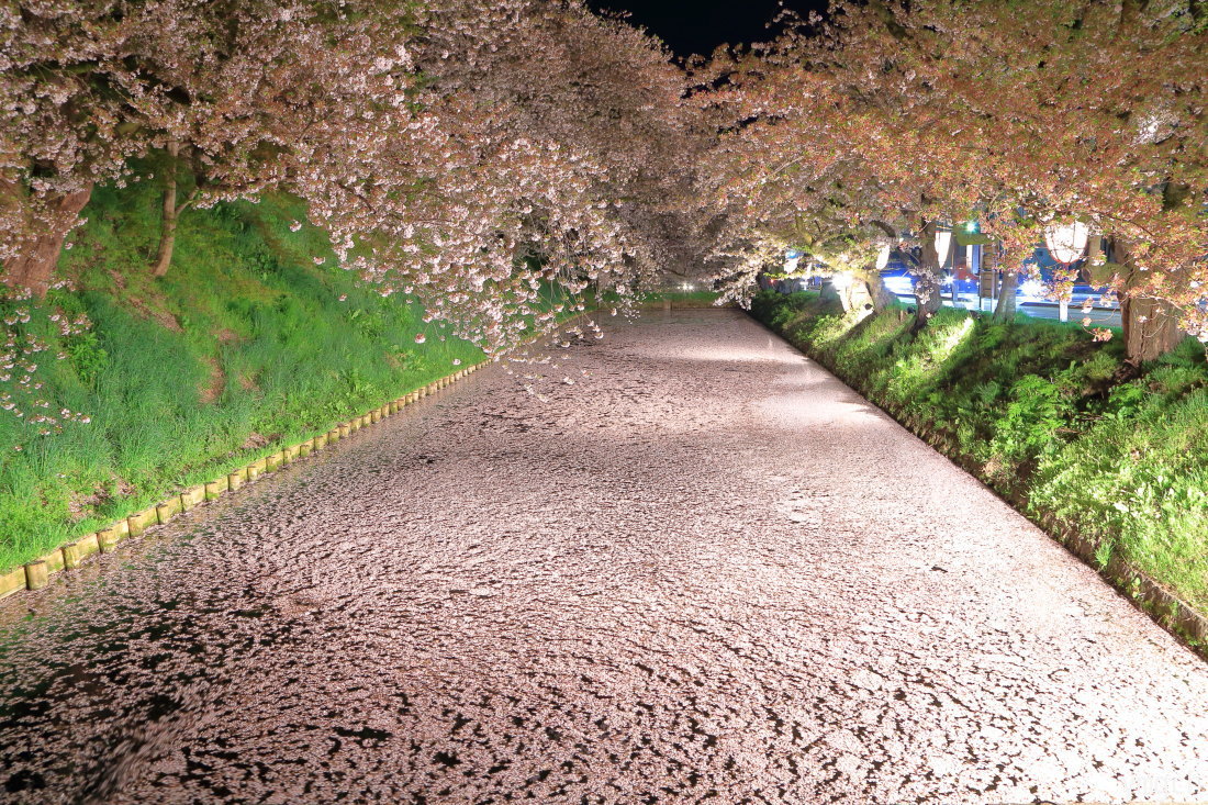 行き当たりばったり東北旅 〜 圧巻の夜桜_f0157812_18222659.jpg