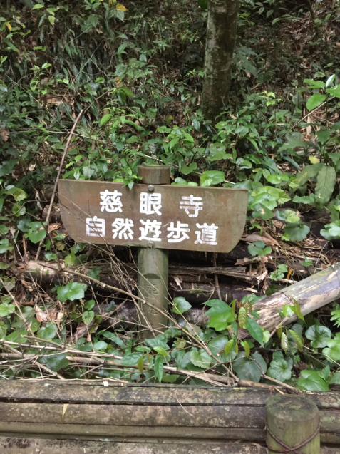 d0355913_08281548.jpg