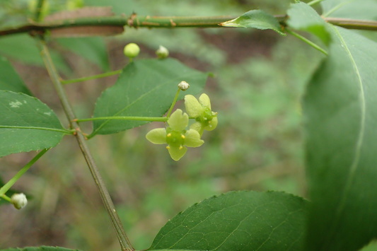 e0293913_206136.jpg